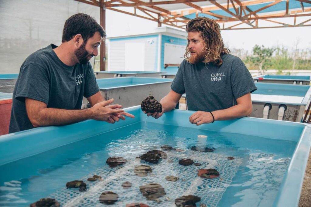 Coral Vita founders standing over a small pool holding a coral reef